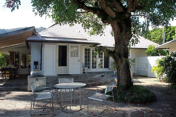 th IMG 9081 th IMG 9081