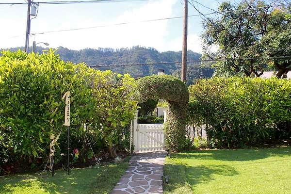 th IMG 9100 th IMG 9100