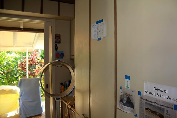 th IMG 9068 th IMG 9068