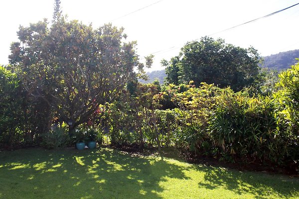 th IMG 9101 th IMG 9101