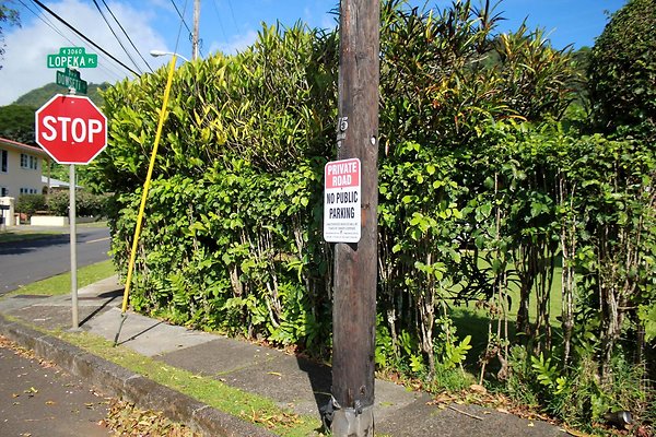 th IMG 9107 th IMG 9107