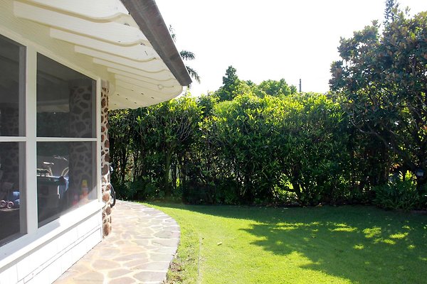 th IMG 9102 th IMG 9102