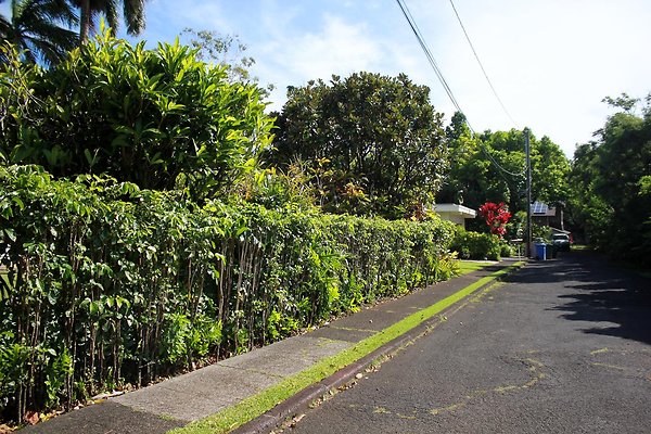 th IMG 9108 th IMG 9108