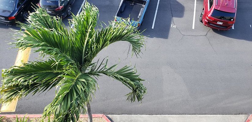 th 20190614 170351 th 20190614 170351