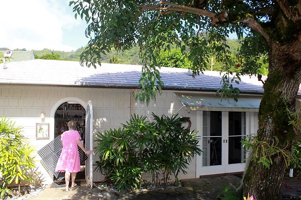 th IMG 9075 th IMG 9075