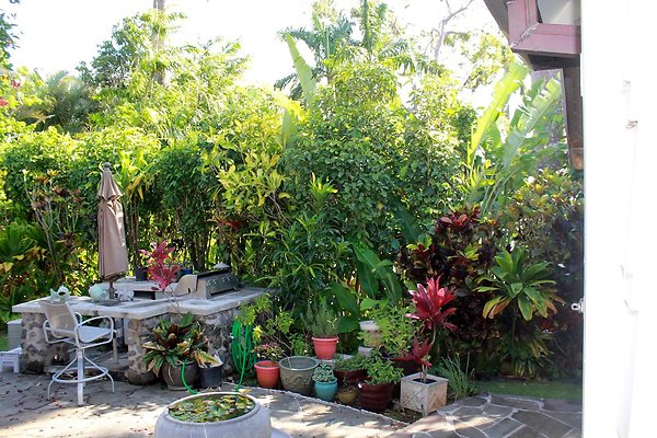 th IMG 9073 th IMG 9073