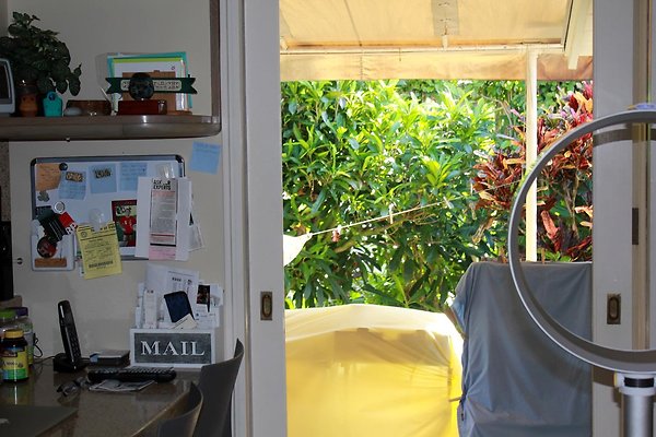 th IMG 9065 th IMG 9065