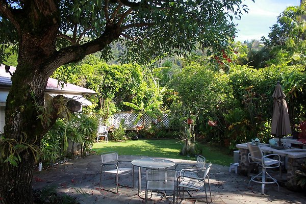 th IMG 9074 th IMG 9074