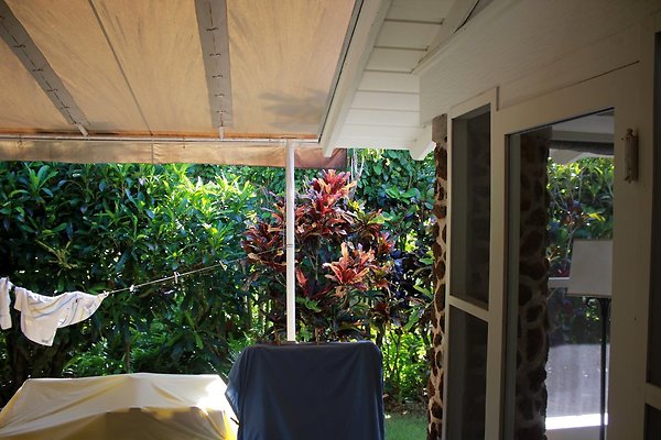 th IMG 9072 th IMG 9072