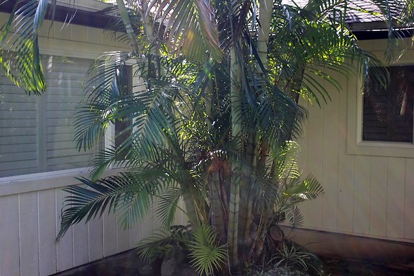 th IMG 9114 th IMG 9114