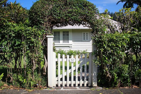 th IMG 9106 th IMG 9106