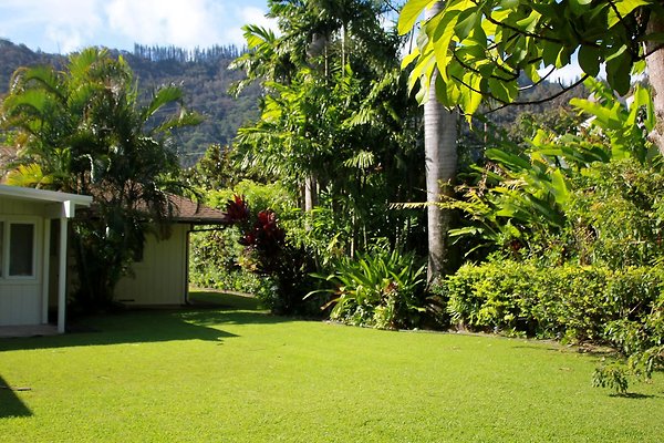 th IMG 9112 th IMG 9112