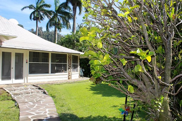 th IMG 9105 th IMG 9105