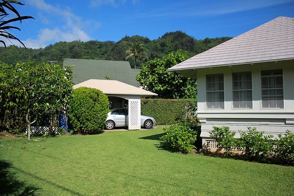 th IMG 9104 th IMG 9104