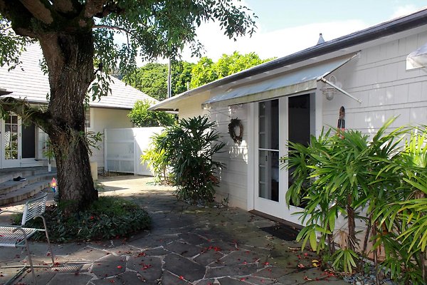 th IMG 9080 th IMG 9080