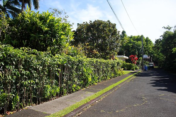 th IMG 9109 th IMG 9109