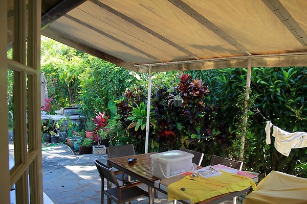 th IMG 9071 th IMG 9071