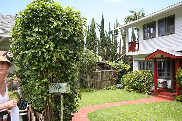 Nuuanu 2910A Park St Jennings-1 Nuuanu 2910A Park St Jennings-1