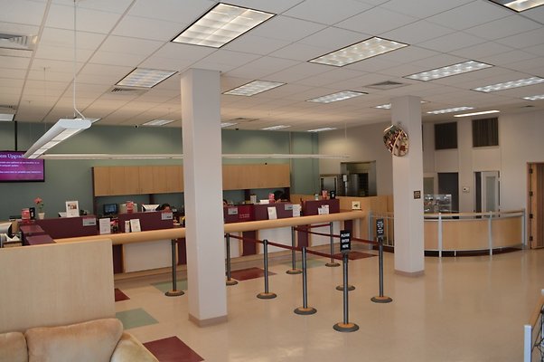 th DSC 0100 th DSC 0100