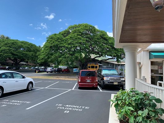 th IMG 2523 th IMG 2523