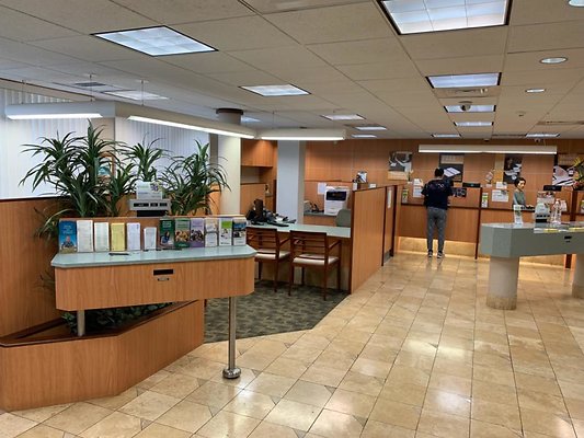 th IMG 2501 th IMG 2501