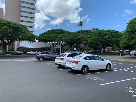 th IMG 2522 th IMG 2522