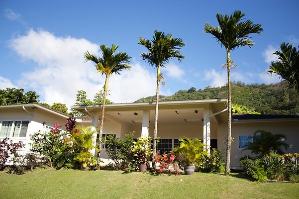 Nuuanu 3348 Niolopua Drive Jane 808.383.7723 Nuuanu 3348 Niolopua Drive Jane 808.383.7723