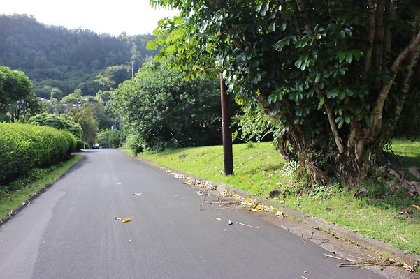 th IMG 7955 th IMG 7955