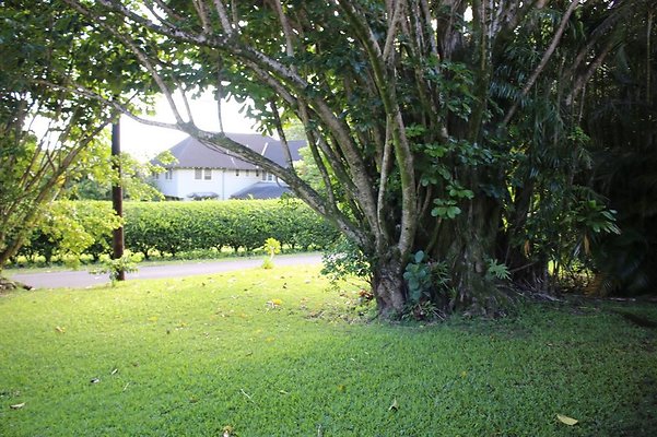 th IMG 7960c th IMG 7960c