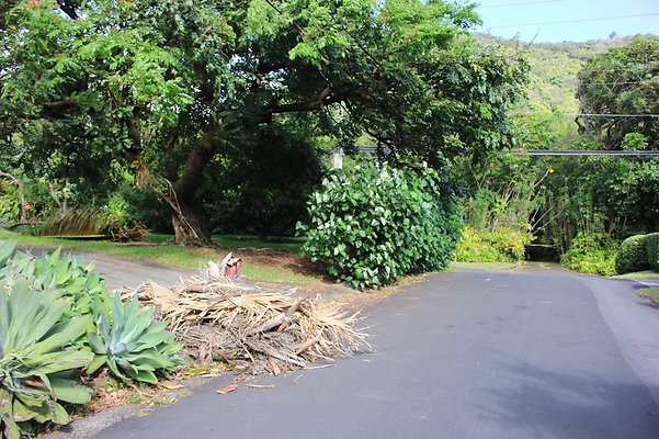 th IMG 7957 th IMG 7957