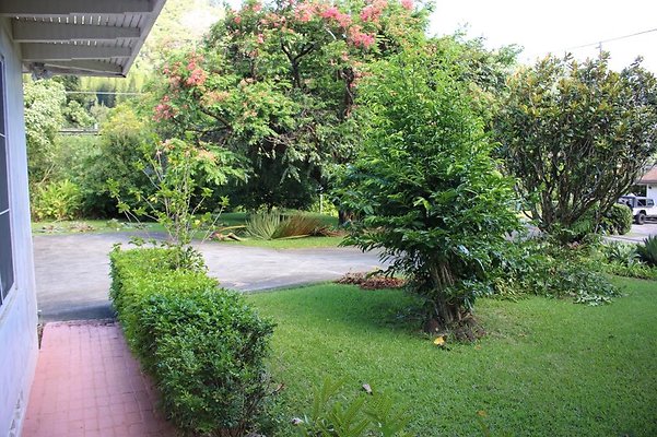 th IMG 7960a th IMG 7960a