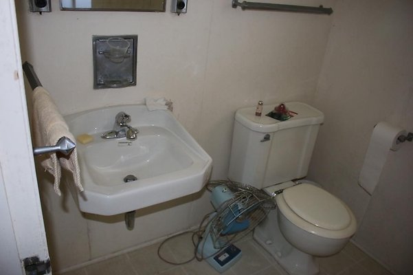 th IMG 7982 th IMG 7982