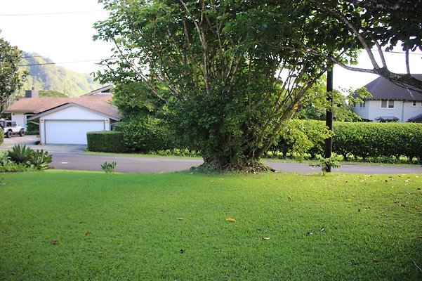 th IMG 7960b th IMG 7960b