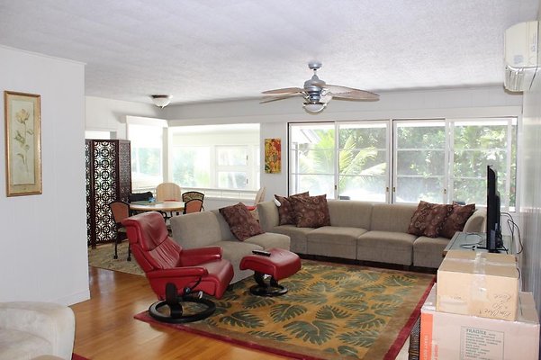 th IMG 2335 th IMG 2335