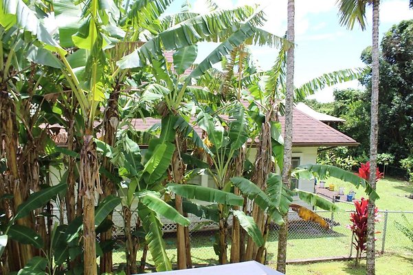 th IMG 2354 th IMG 2354