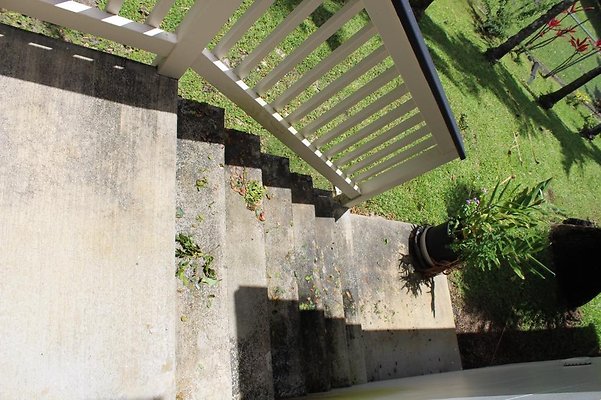 th IMG 2352 th IMG 2352