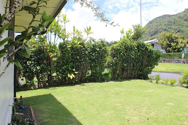 th IMG 2329 th IMG 2329