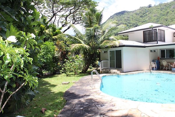 th IMG 2383 th IMG 2383