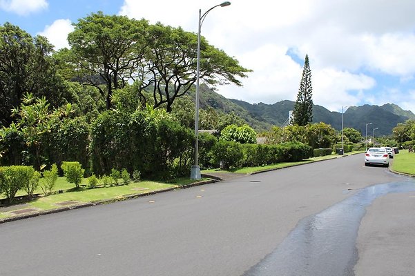 th IMG 2325 th IMG 2325