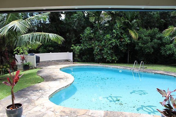 th IMG 2369 th IMG 2369