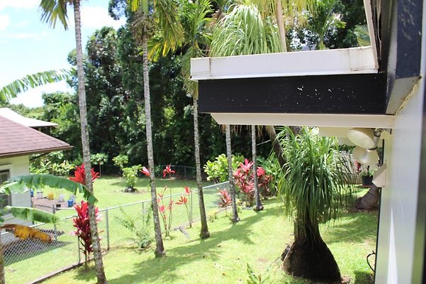 th IMG 2355 th IMG 2355