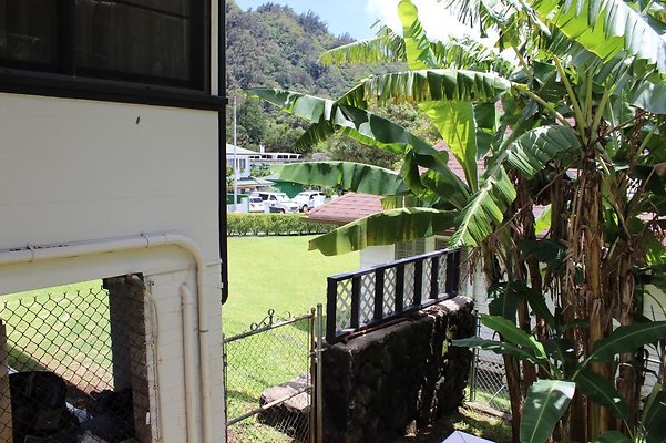 th IMG 2353 th IMG 2353