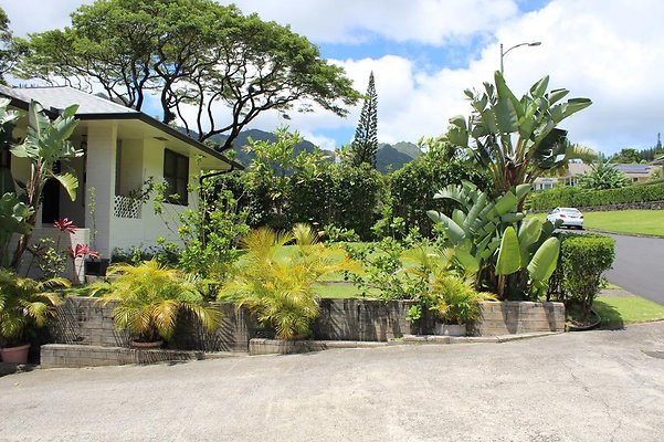 th IMG 2382 th IMG 2382