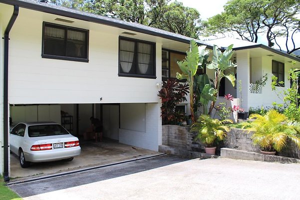 th IMG 2381 th IMG 2381