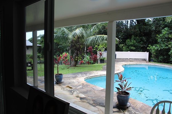 th IMG 2361 th IMG 2361