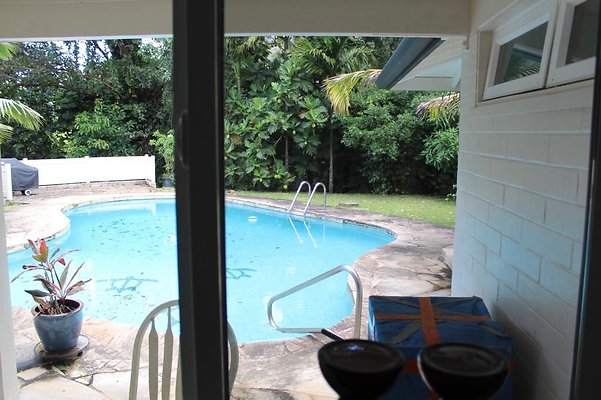 th IMG 2362 th IMG 2362