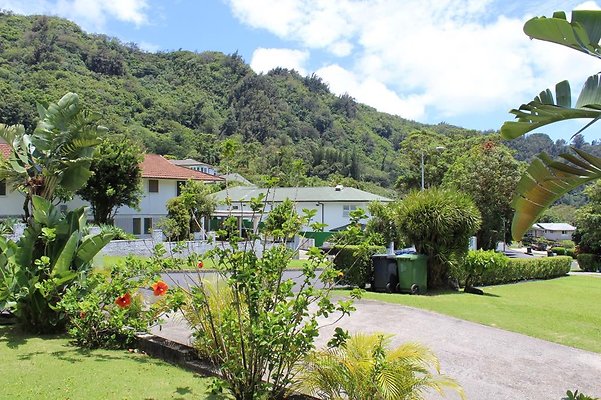 th IMG 2331 th IMG 2331