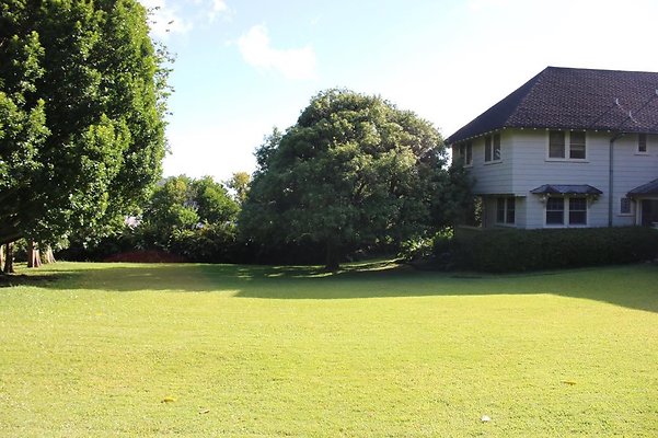 th IMG 8061 th IMG 8061