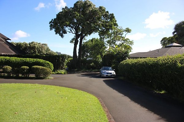 th IMG 7998 th IMG 7998