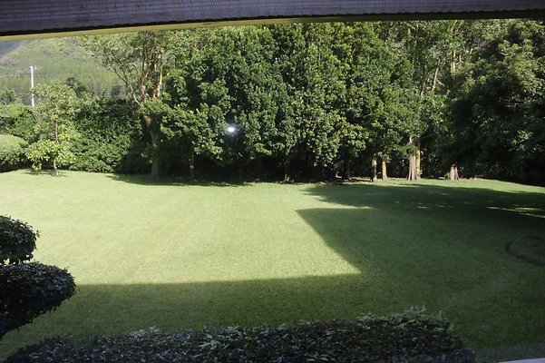 th IMG 8013 th IMG 8013